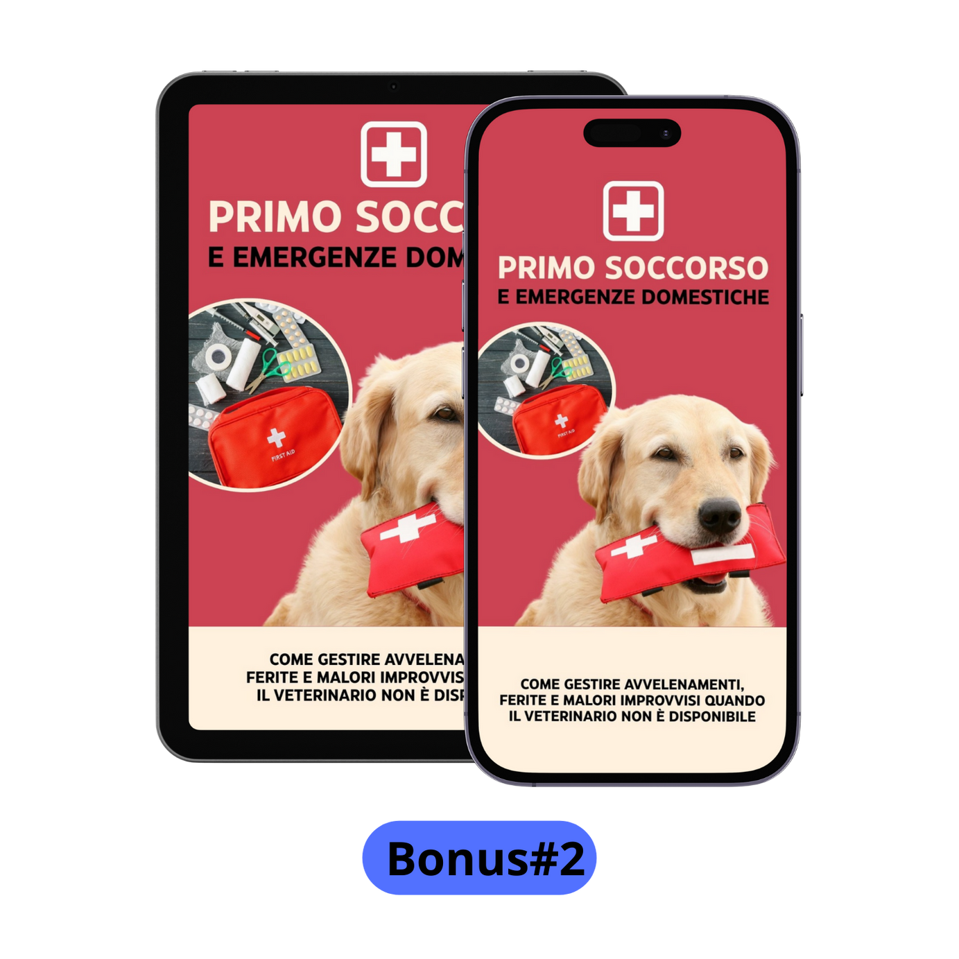 Cane Educato in 40 giorni