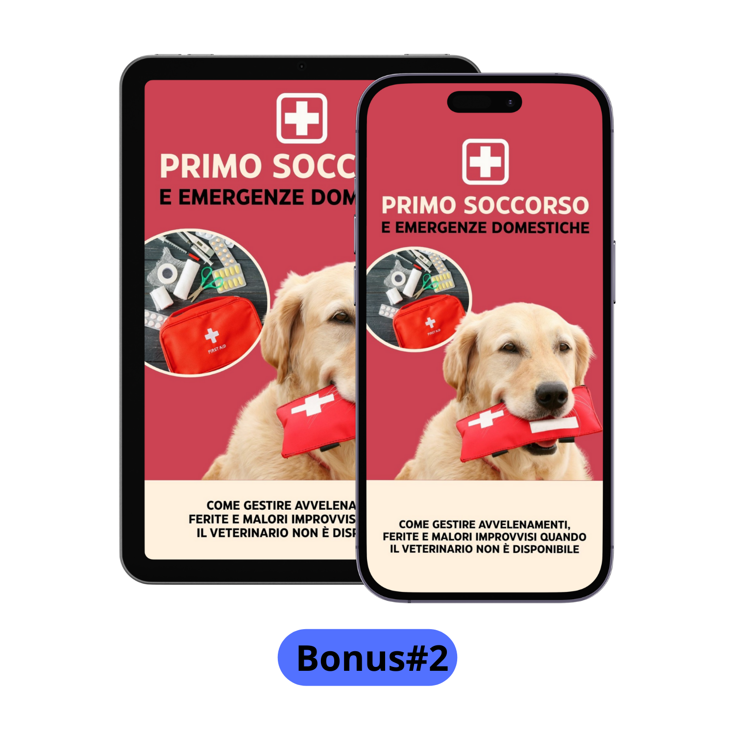 Cane Educato in 40 giorni